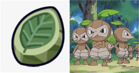 what does leaf stone evolve.